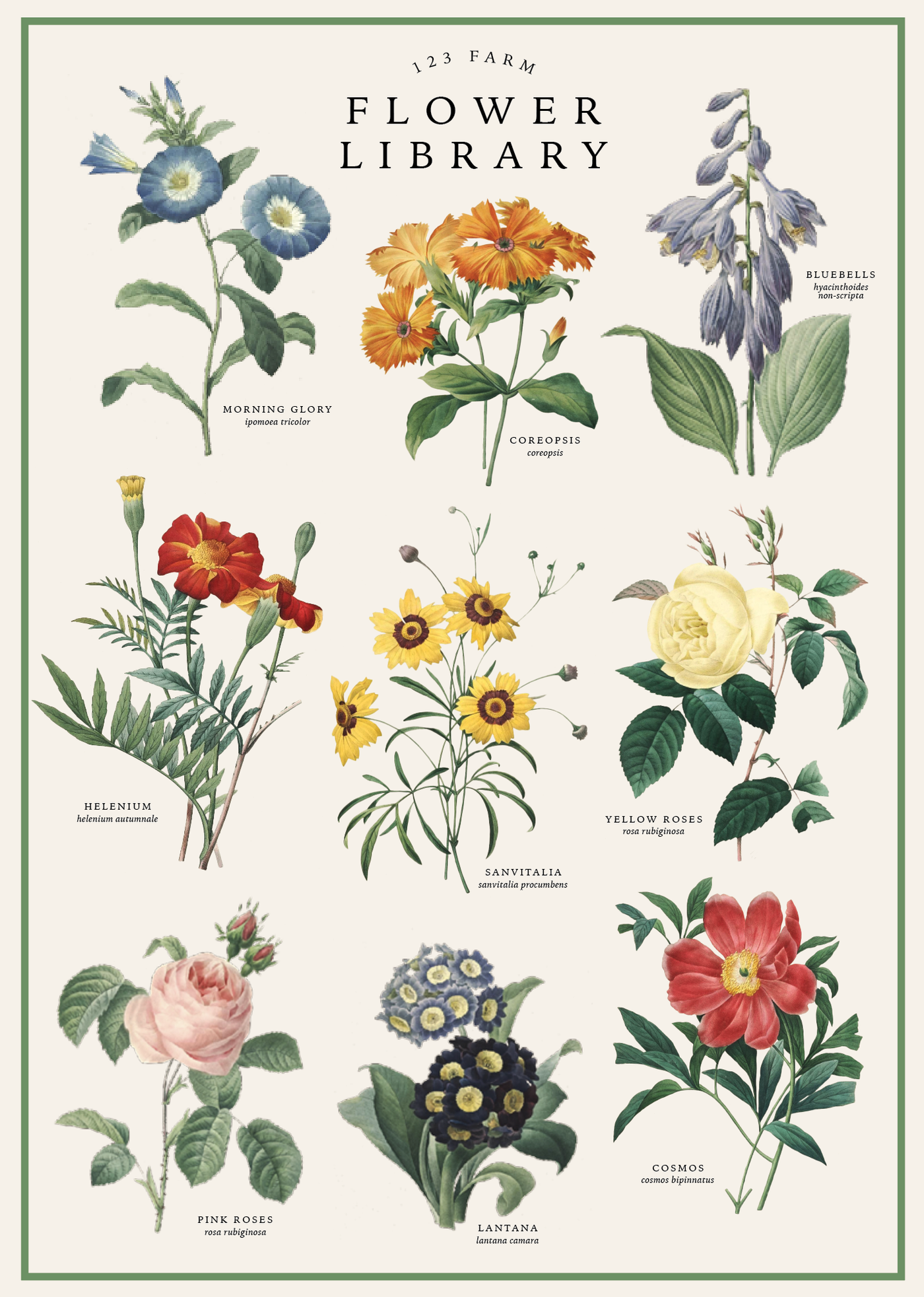 Vintage-Inspired Floral Wrapping Paper (20x28")