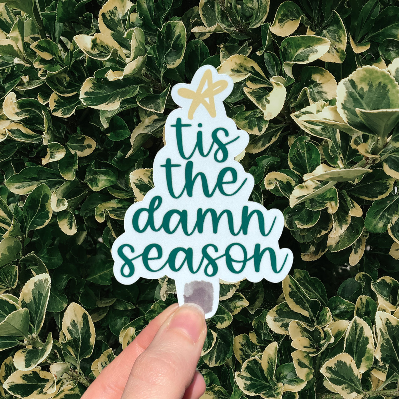 Tis The Damn Season Sticker