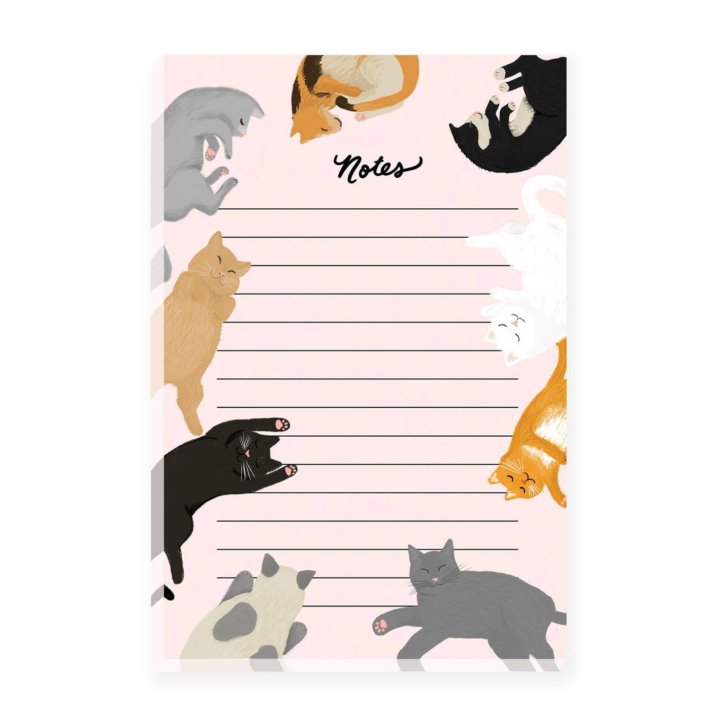 Cat notepad with notes section surrounded by different colored snuggly kitties!