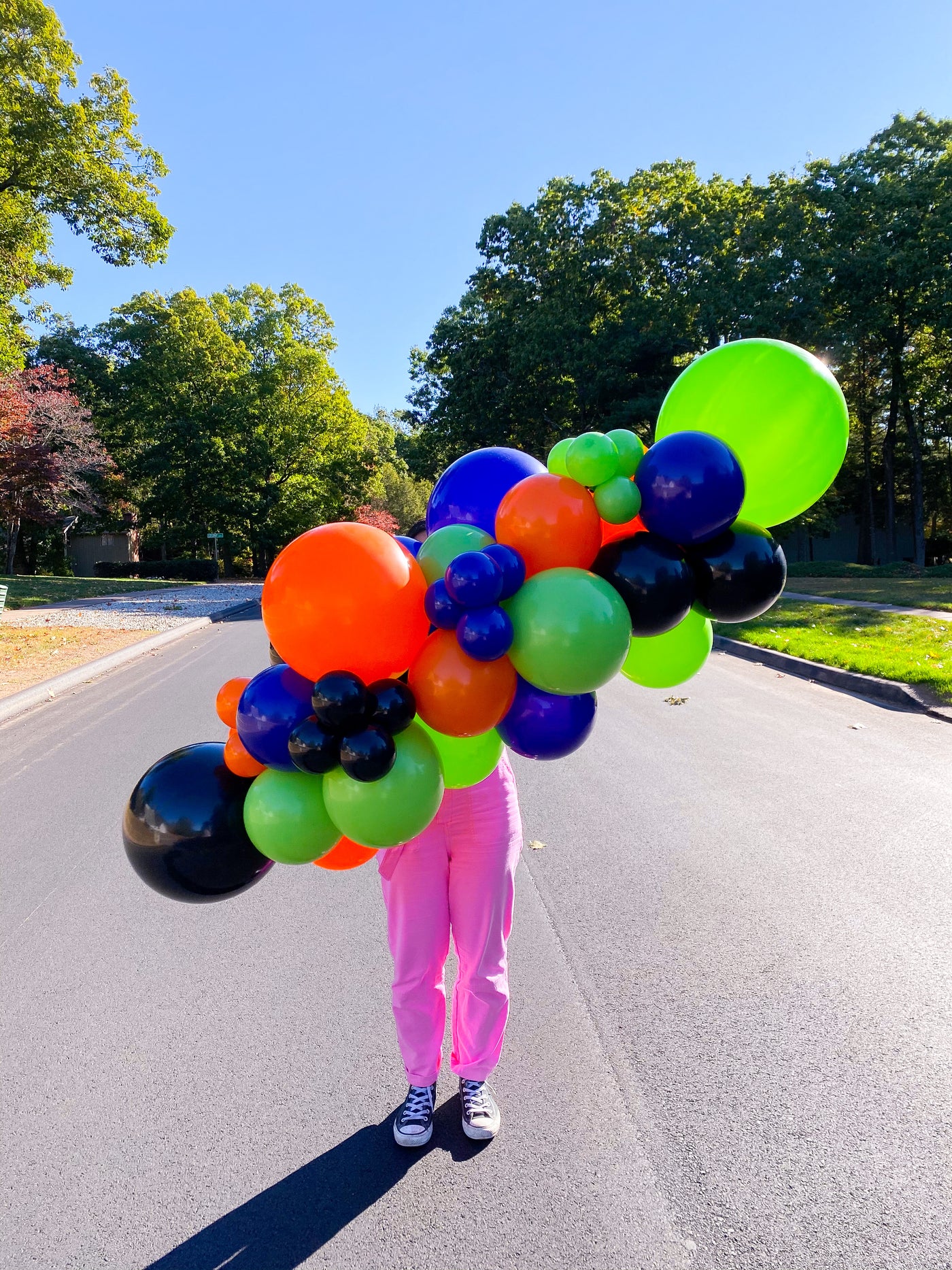 Pick Your Colors - Balloon Garland DIY Kit